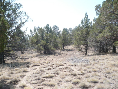 off grid california land for sale